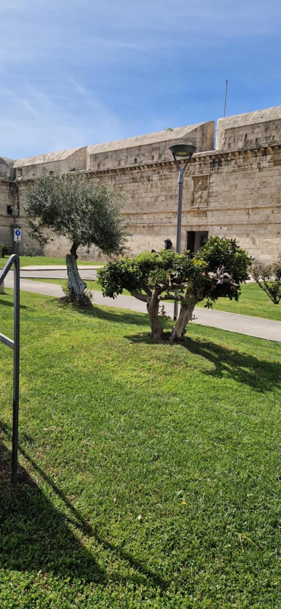 Bed and Breakfast Md House Civitavecchia Esterno foto